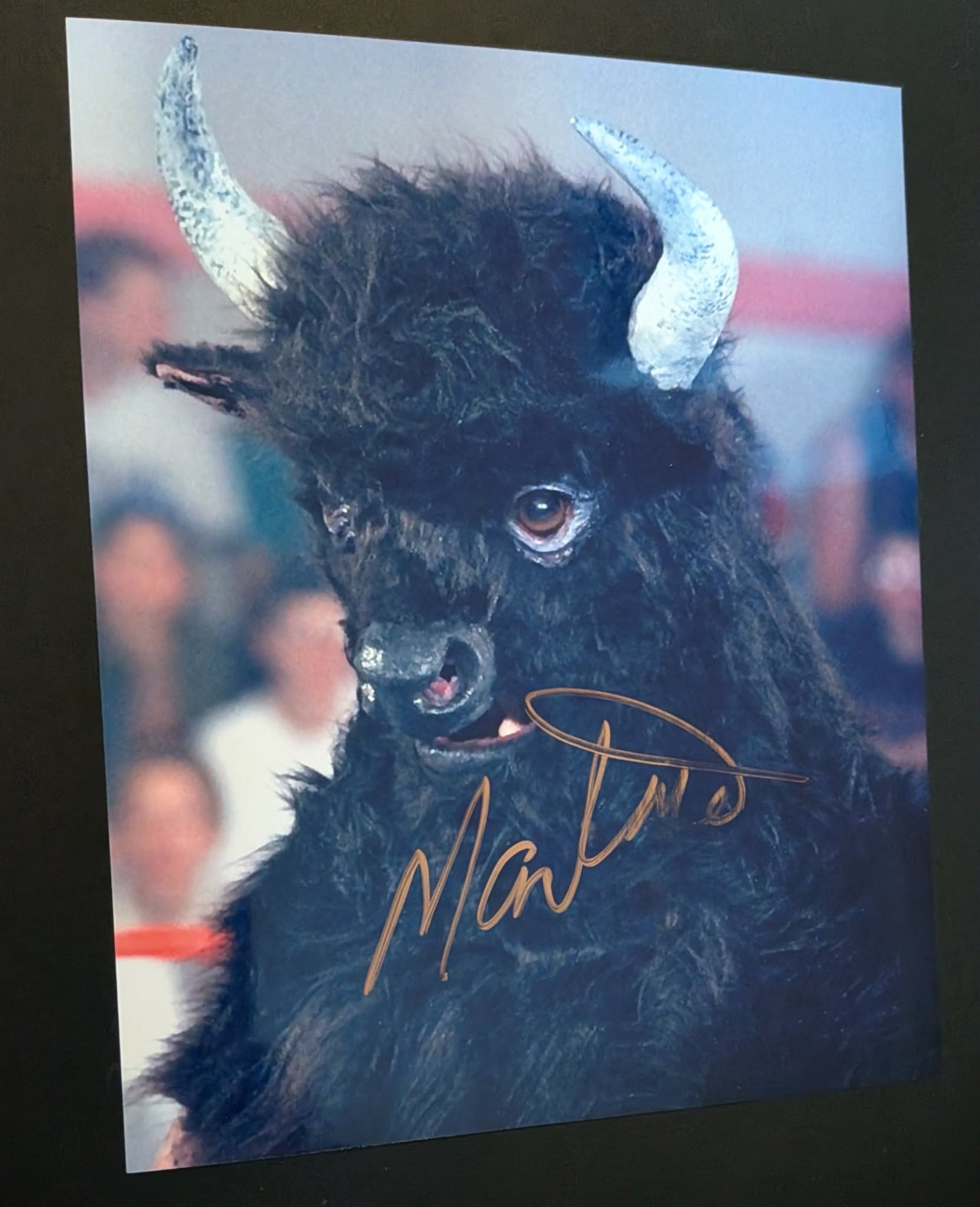 Mantaur Signed Photo COA