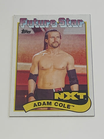Adam Cole 2018 WWE NXT Futures Stars ROOKIE Card
