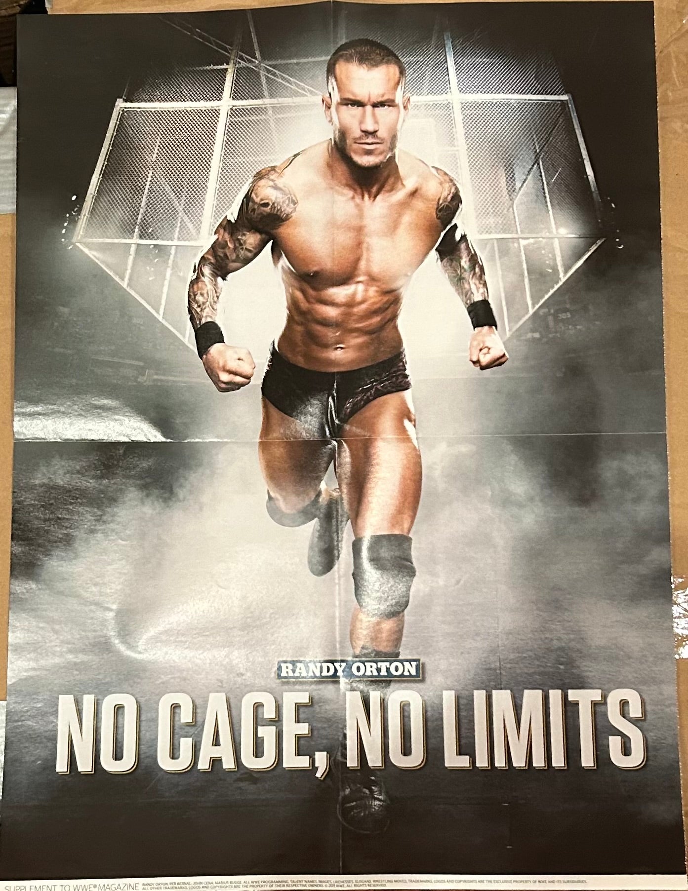* Randy Orton WWE Poster