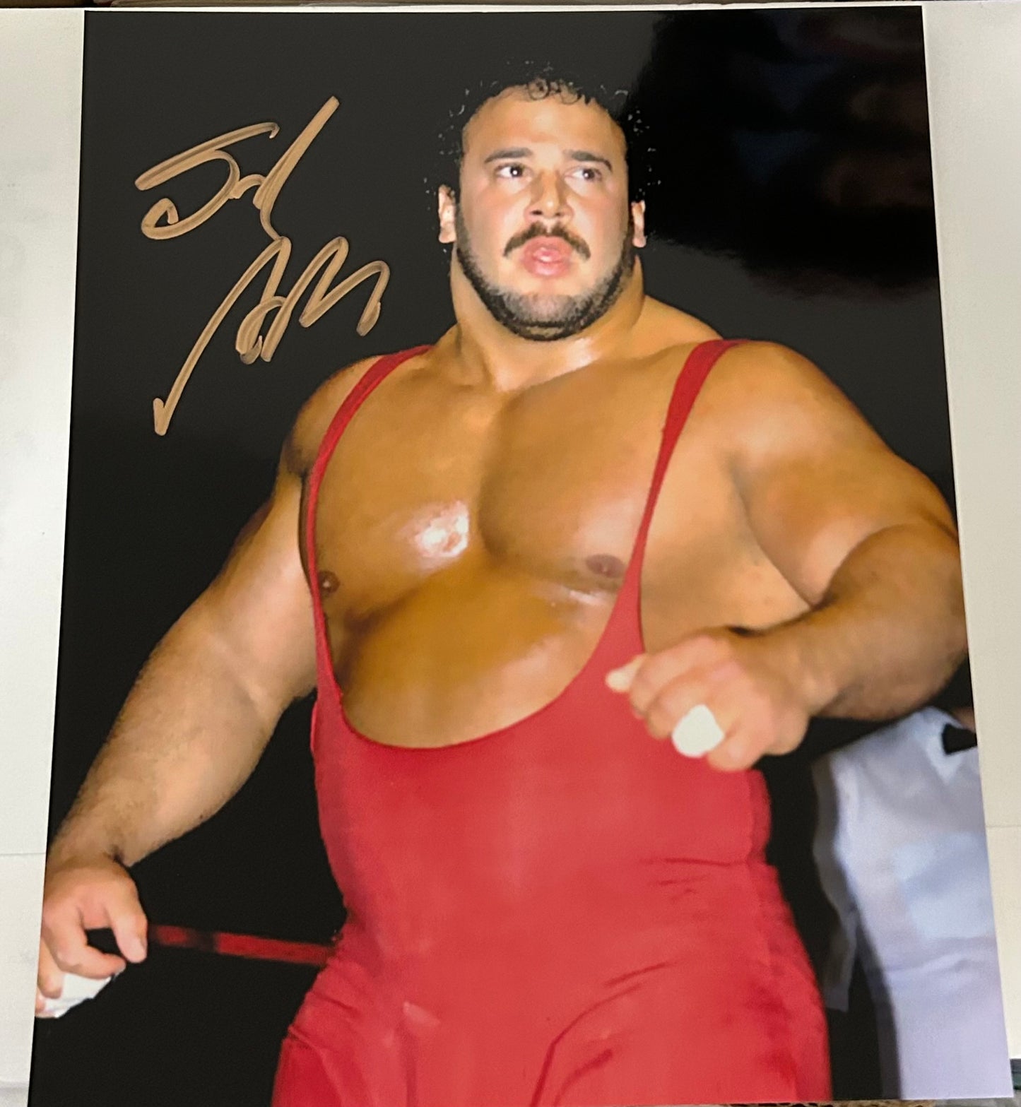 Ted Arcidi WWE Signed 8x10 Color Photo (Comes w/COA)