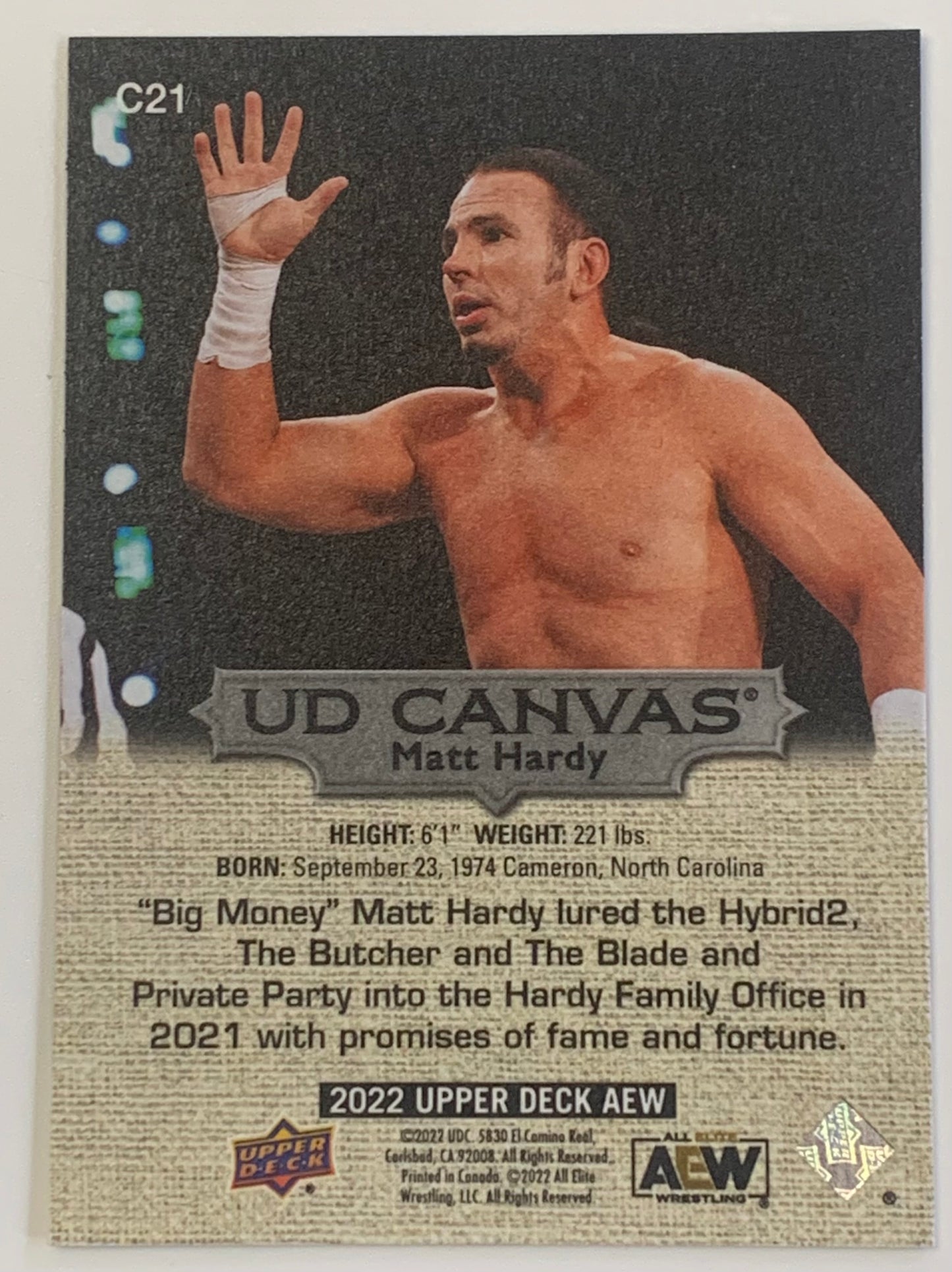Matt Hardy 2022 AEW Upper Deck CANVAS C21