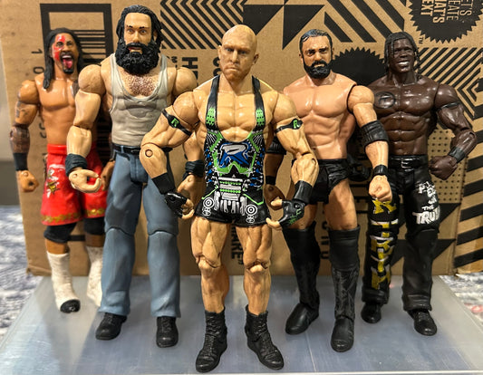 + WWE Action Figures Lot (You Get All 5 Figures)