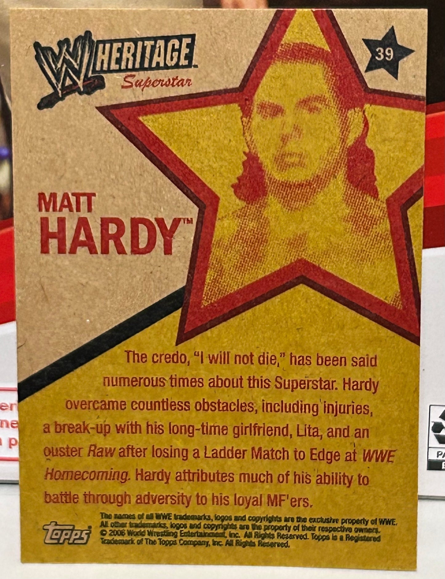 Matt Hardy 2006 WWE Topps Heritage #39