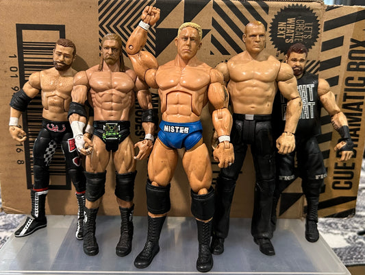 + WWE Mattel Action Figures Lot (You Get All 5 Figures)