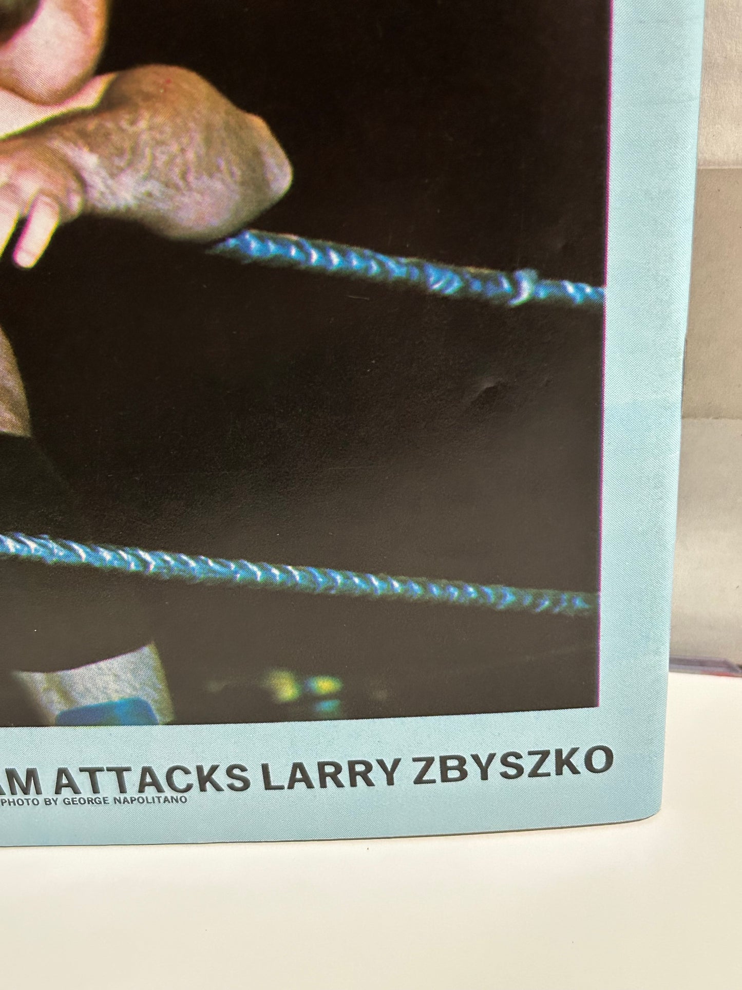 The Wrestling News Magazine #49 WWWF Edition (Full Color Poster)