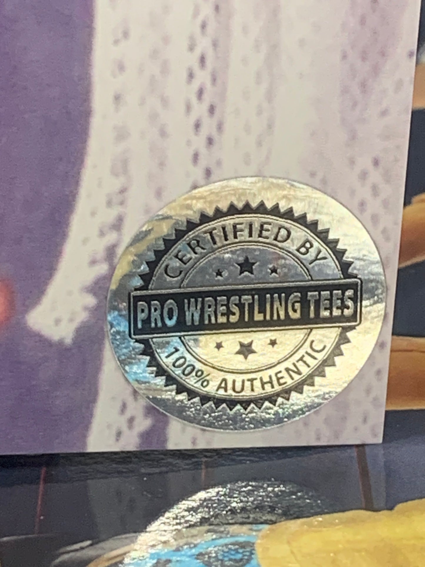 Zodiac Signed 8x10 Color Photo (Pro Wrestling Tee’s Authenticated)