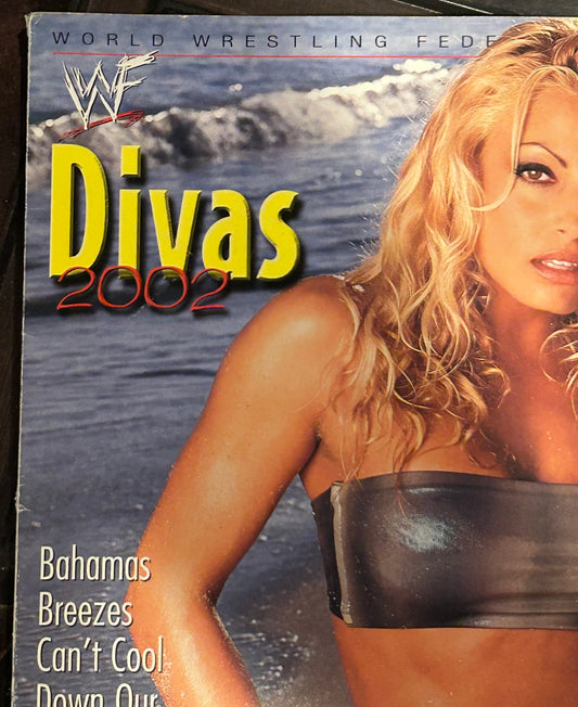 * WWE Divas 2002 Collector’s Edition Magazine (Trish Stratus & so much more)