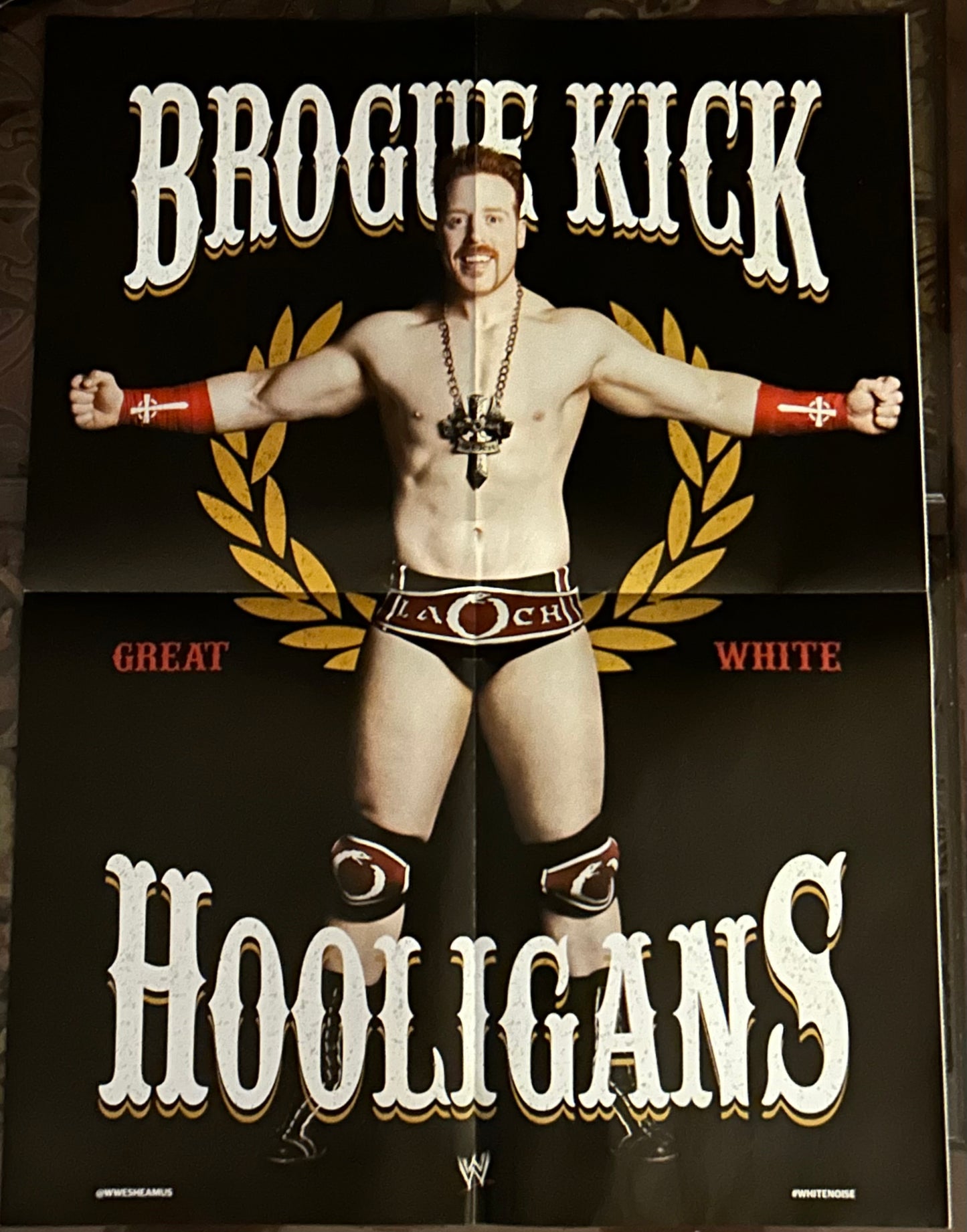 * WWE Superstats/Sheamus Double Sided Poster