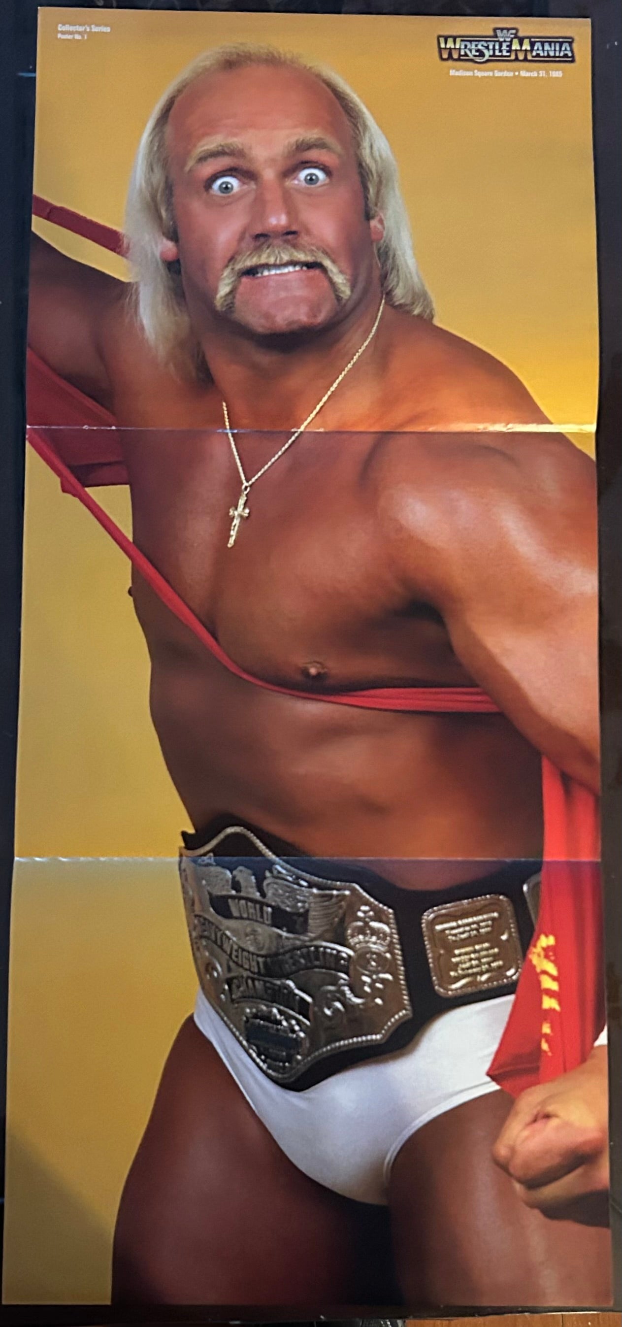 * Hulk Hogan WWE Full Color Pull-out Poster