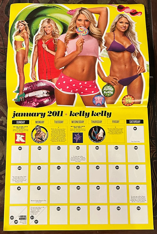* WWE Official Divas 2011 Calendar (Awesome Pictures)