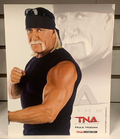 Hulk Hogan Official TNA Promo 2010 (Authentic Promo)