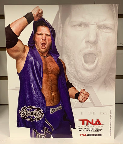 AJ Styles Official TNA Promo 2010 (Authentic Promo)