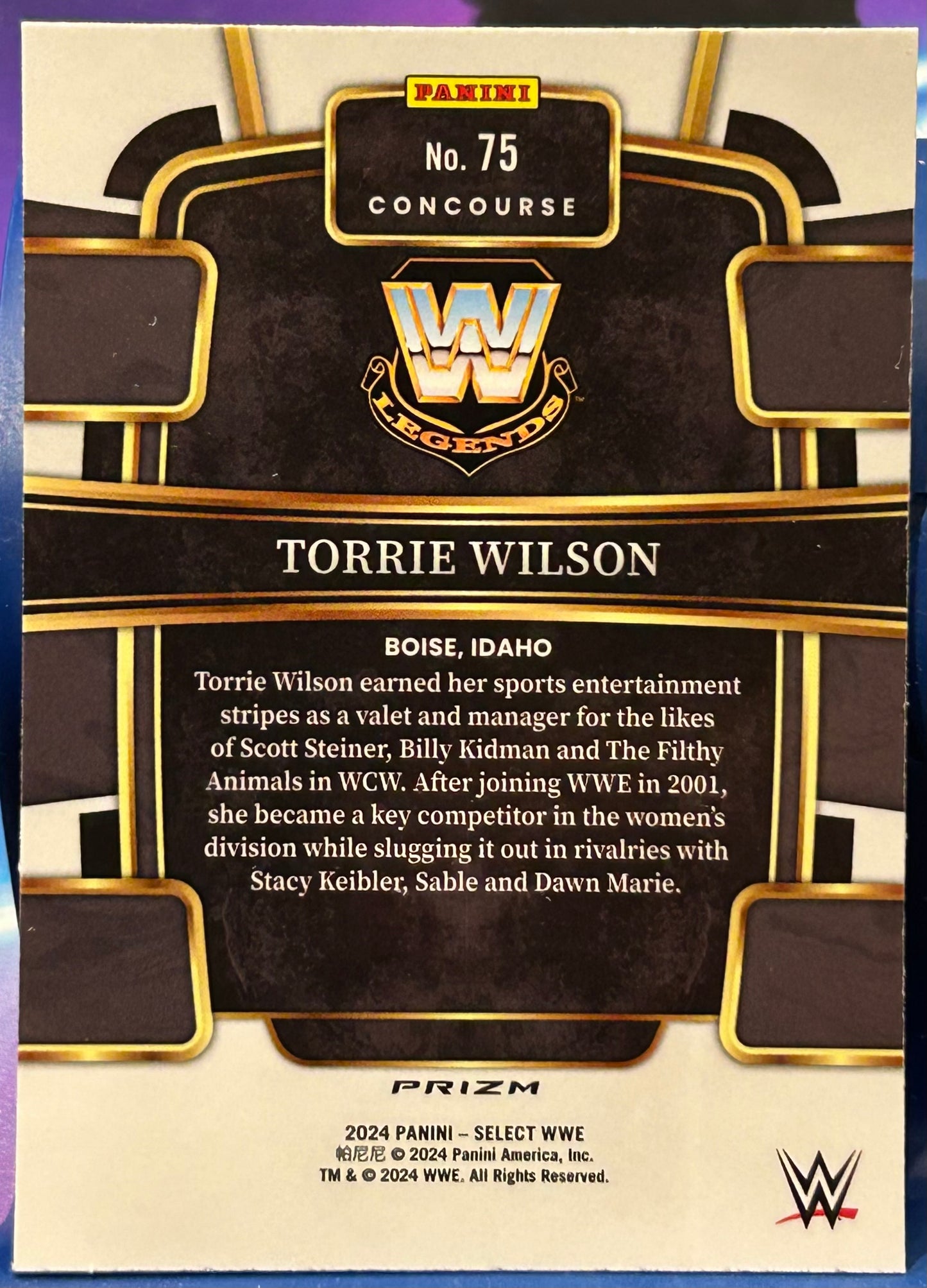 * Torrie Wilson 2024 WWE Panini Select PURPLE & TEAL REFRACTOR Card (Beautiful Card)