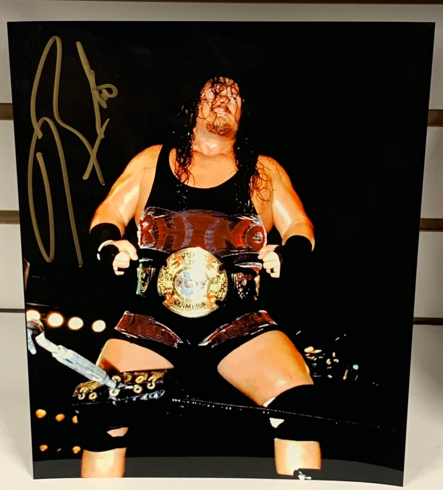 Rhino Signed Color Photo COA