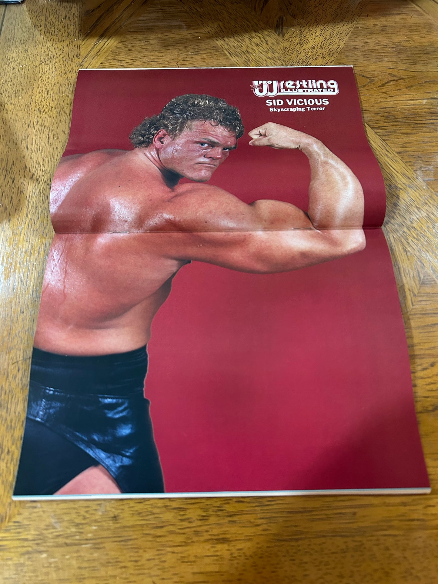 PWI Pro Wrestling Illustrated Magazine Jan. 1990 (Sid Vicious Full Color Poster Inside)