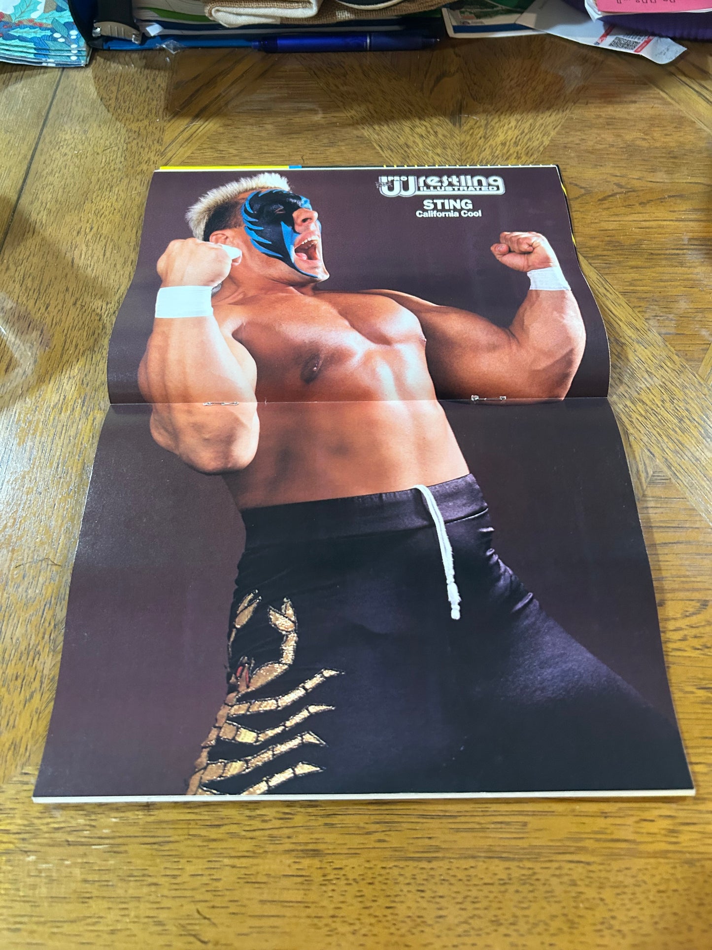 PWI Pro Wrestling Illustrated Magazine June 1990 (AWESOME Sting Full Color Poster Inside)