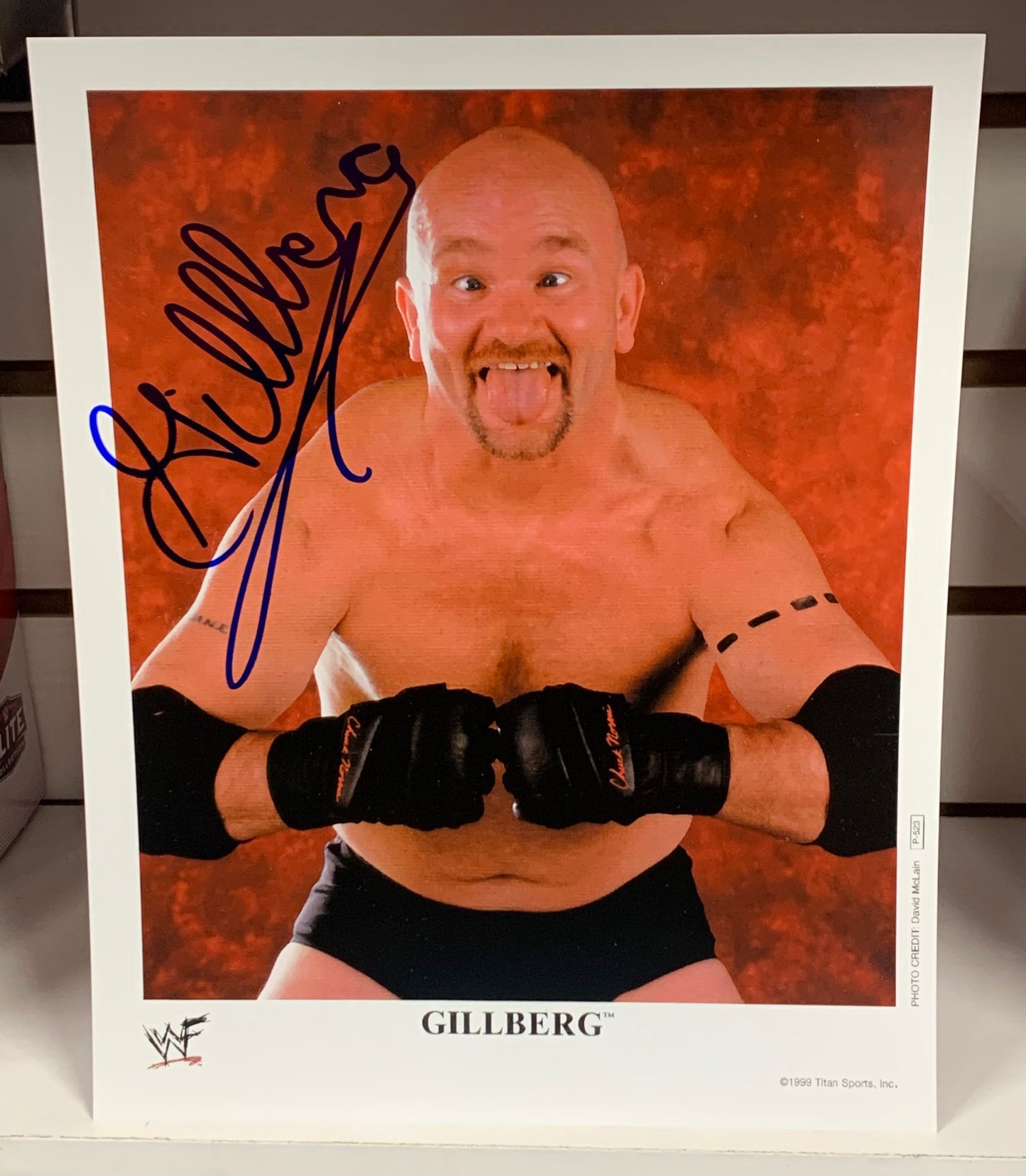 Gillberg Signed WWE 8x10 Color Photo COA