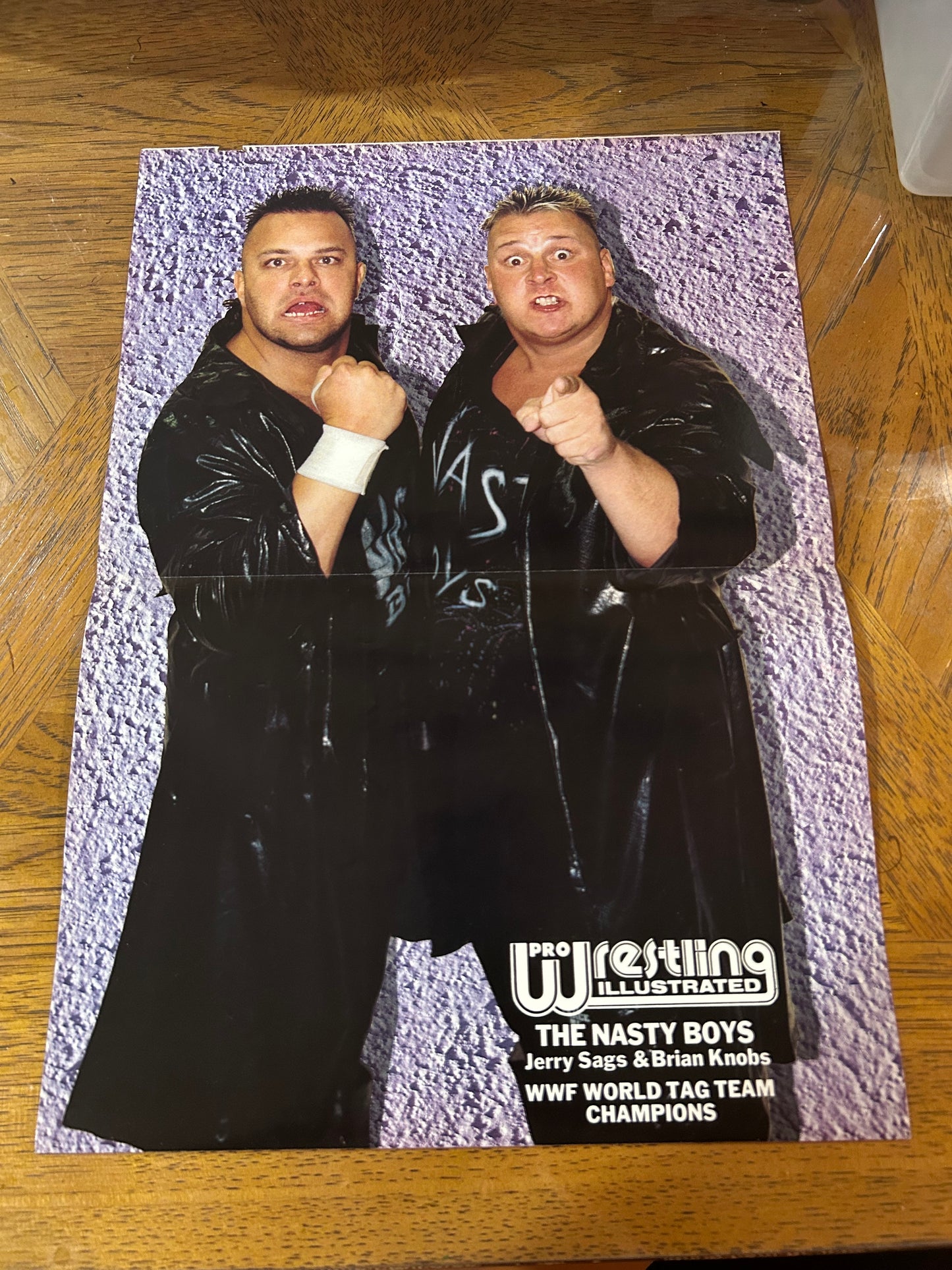 PWI Pro Wrestling Illustrated NASTY BOYS Color Poster