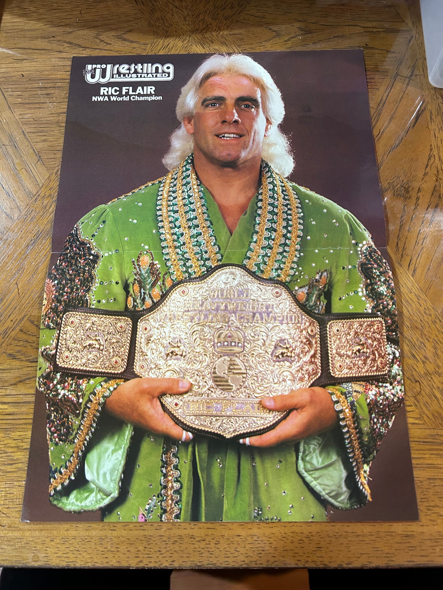 PWI Pro Wrestling Illustrated RIC FLAIR Color Poster