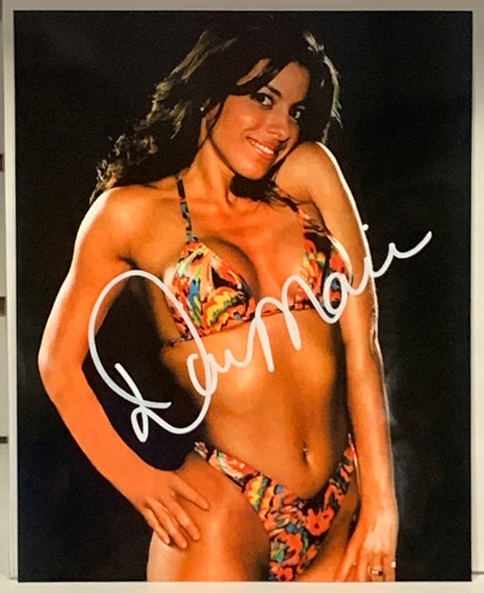 Dawn Marie Signed 8x10 Color Photo ECW WWE (Comes w/COA)