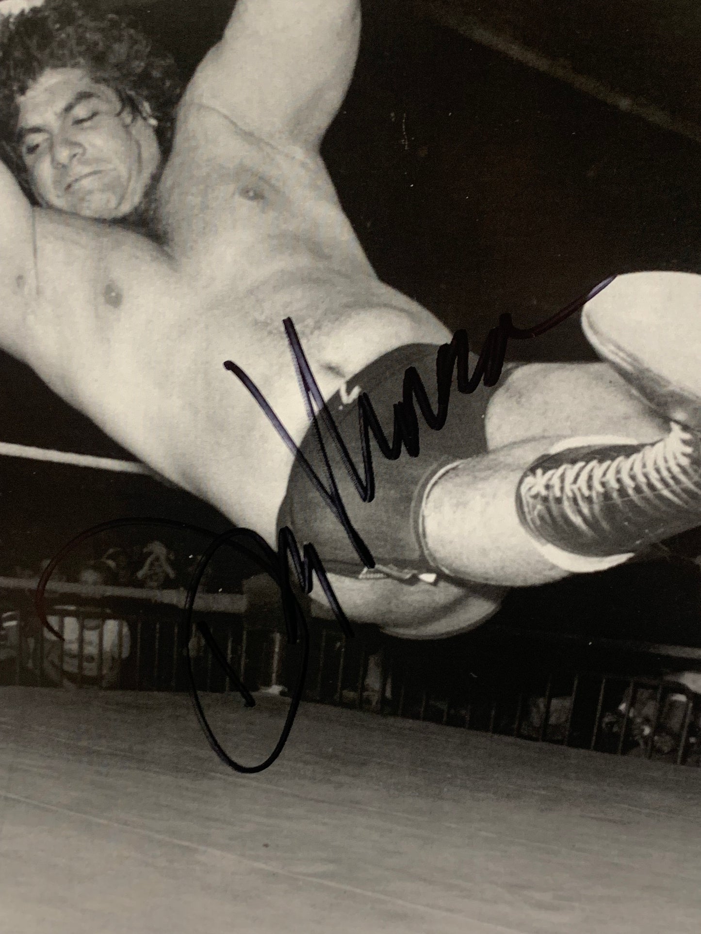 Magnificent Don Muraco Signed 8 1/2x11 Classic Photo COA