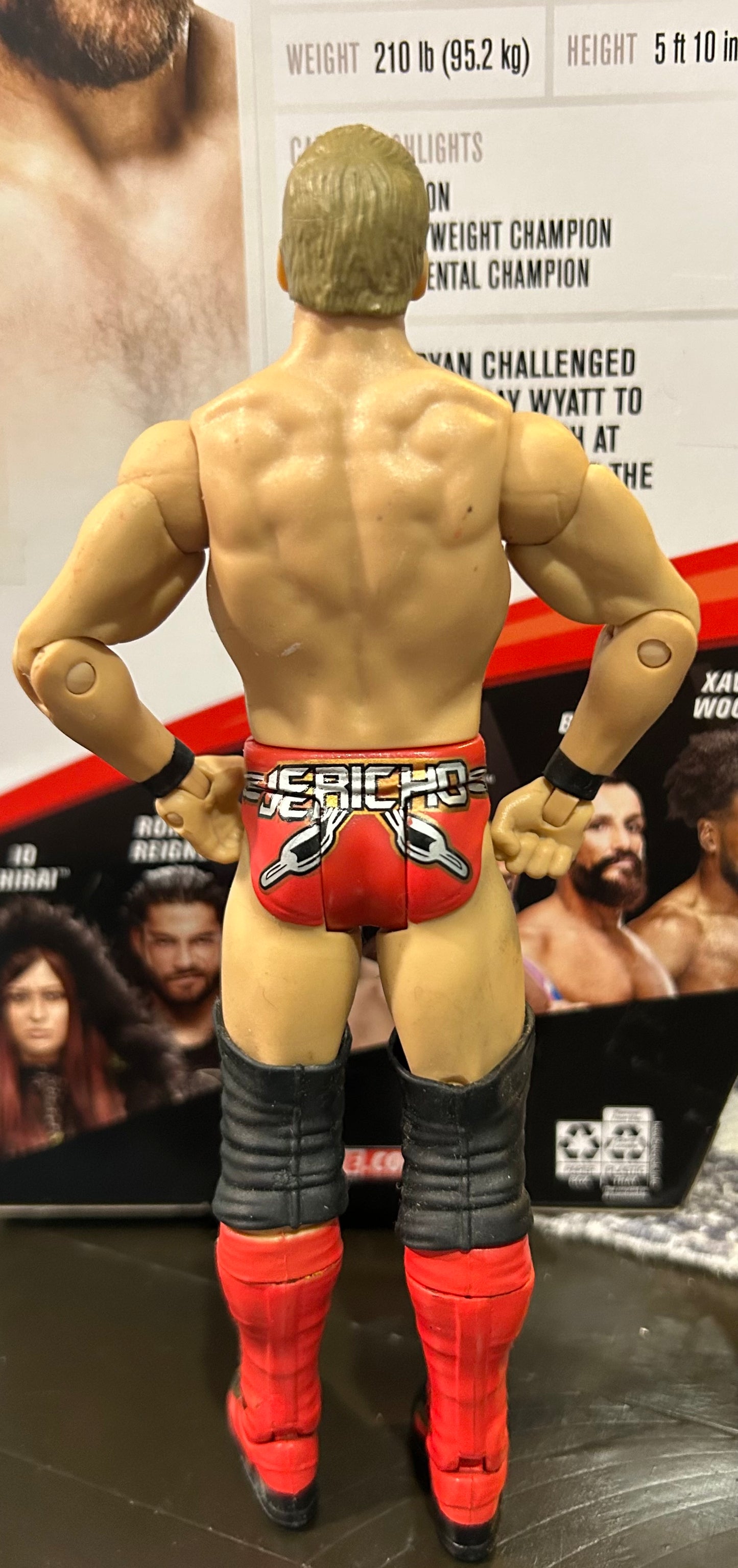 + Chris Jericho WWE Mattel Action Figure