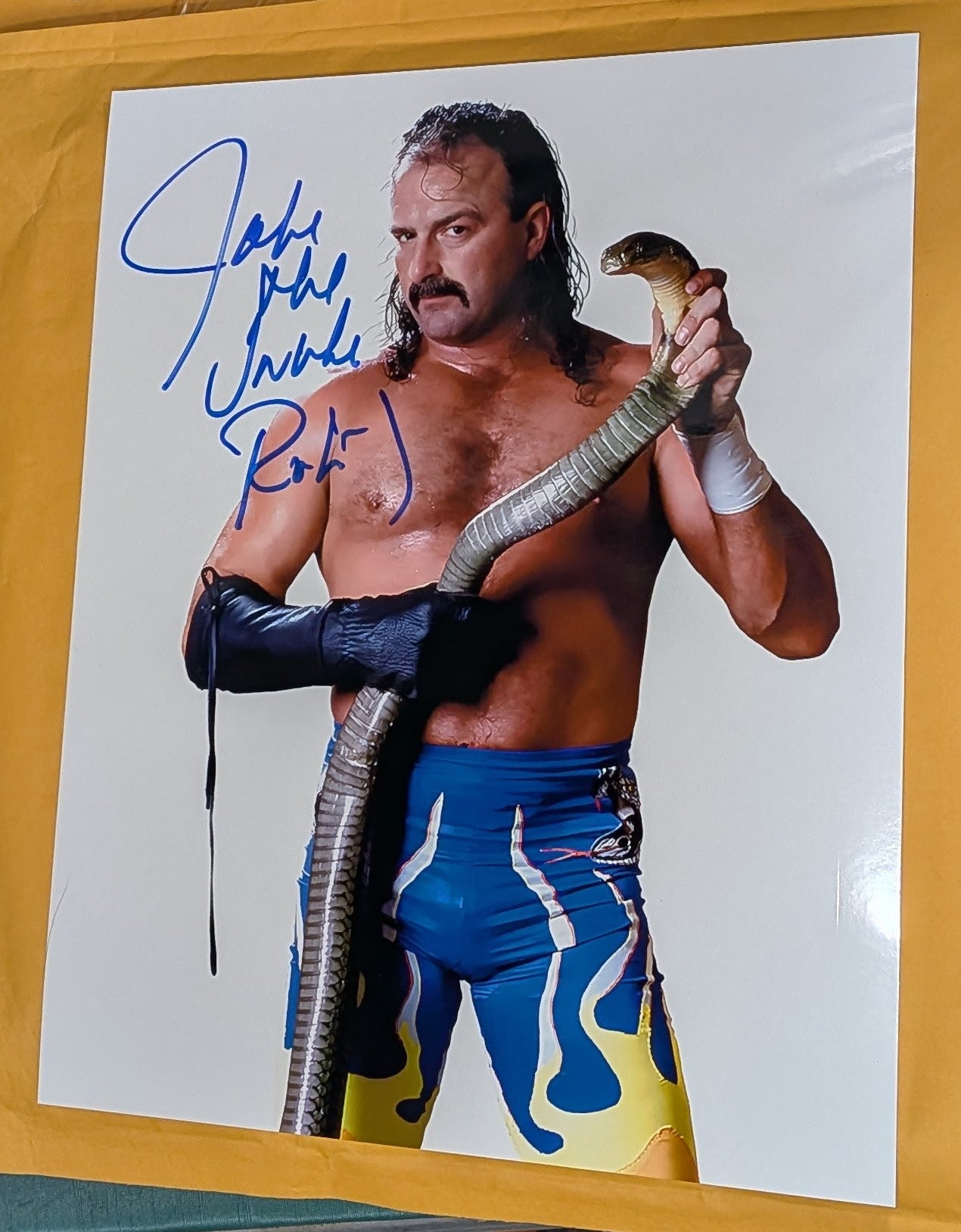 + Jake “The Snake” Roberts Signed WWE 8x10 Color Photo (Comes w/COA)