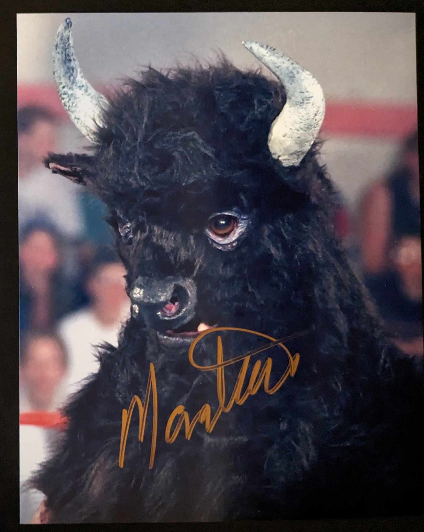 Mantaur Pose 2 Signed Photo COA