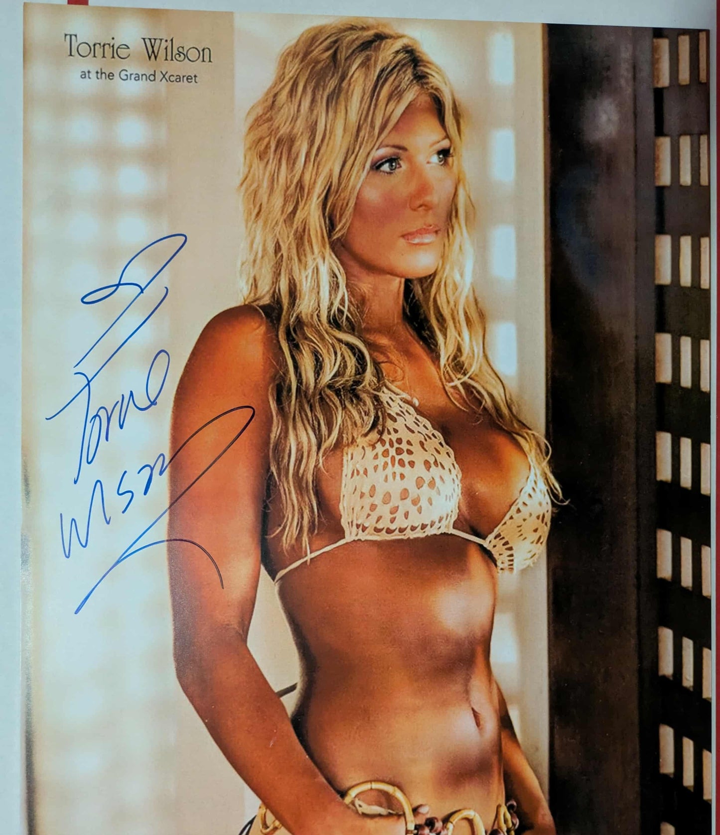 Torrie Wilson 11x14 Signed Photo COA