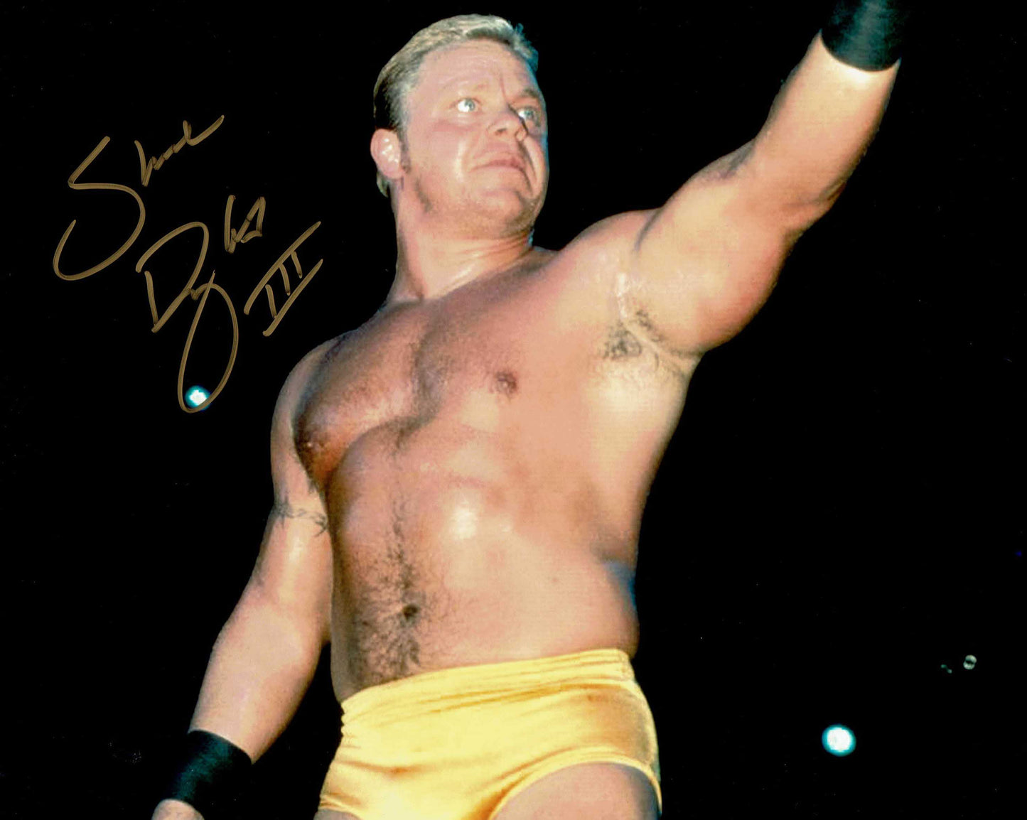 Shane Douglas Pose 8 Signed Photo COA