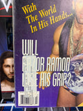 PWI Pro Wrestling Illustrated Magazine July 1994 Scott Hall Steamboat Poster