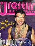 PWI Pro Wrestling Illustrated Magazine July 1994 Scott Hall Steamboat Poster