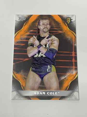 Adam Cole 2019 WWE Undisputed NXT Card #76 #34/99