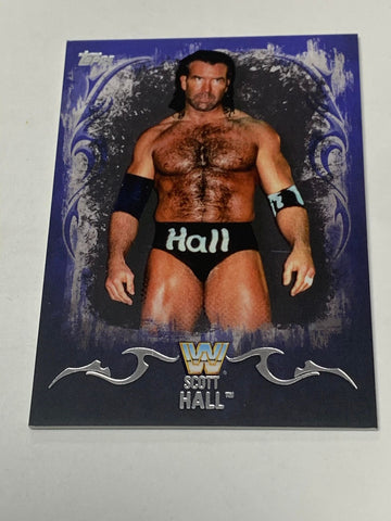 Scott Hall 2016 WWE Undisputed Parallel Card #88 #23/25