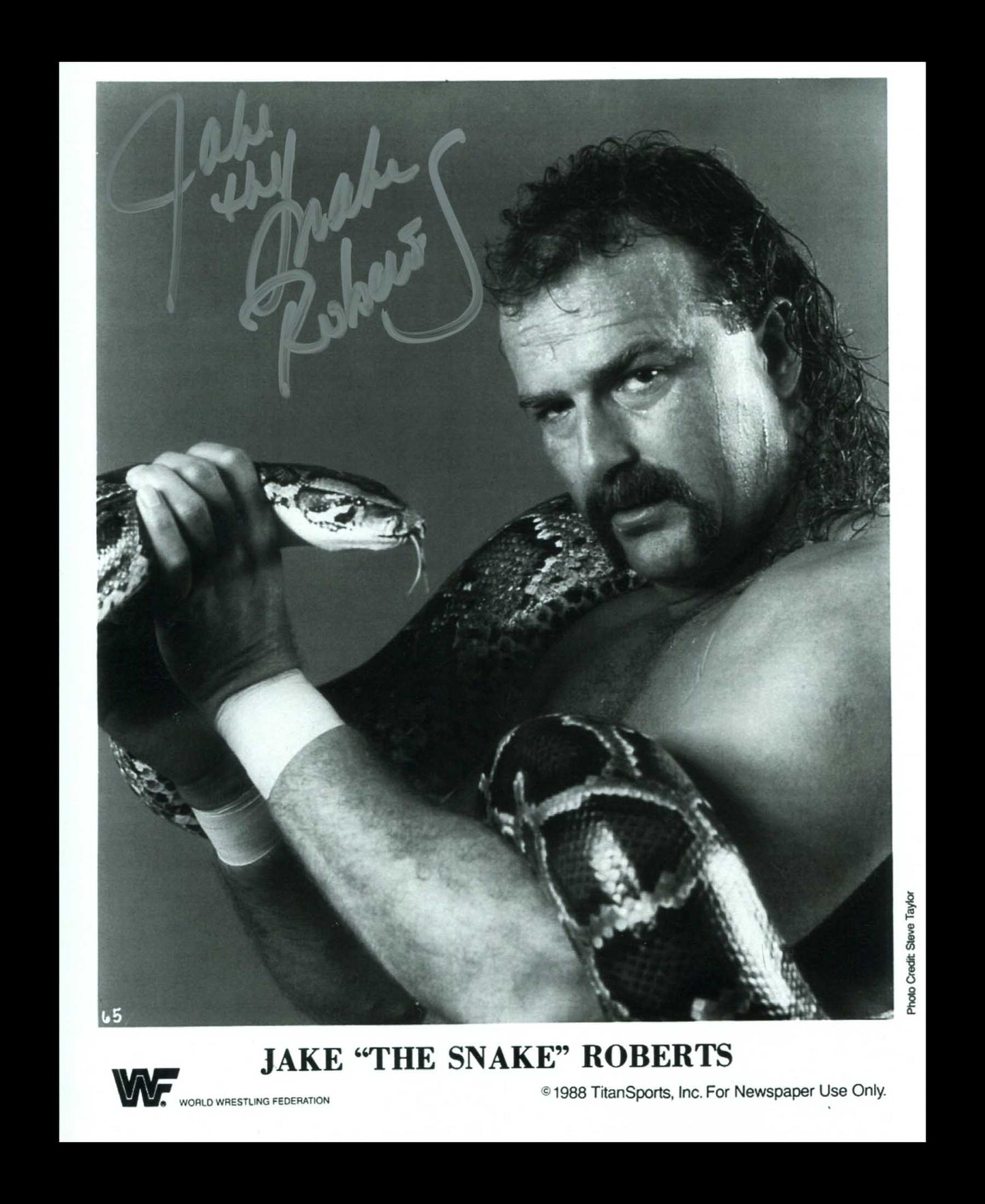 Jake The Snake Roberts Pose 7 Signed Photo COA