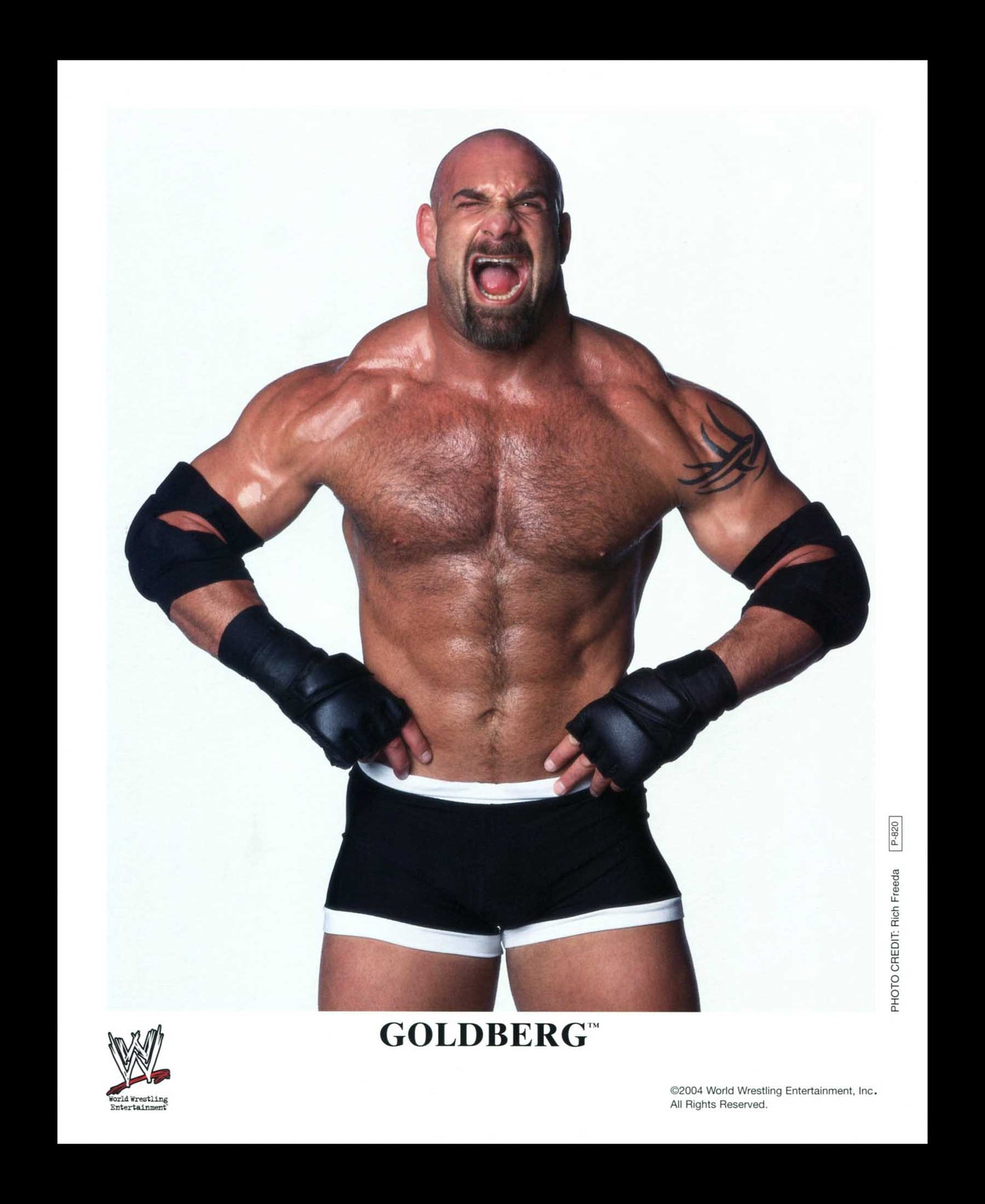 Goldberg Official WWE Promo P-820 2004 Photo