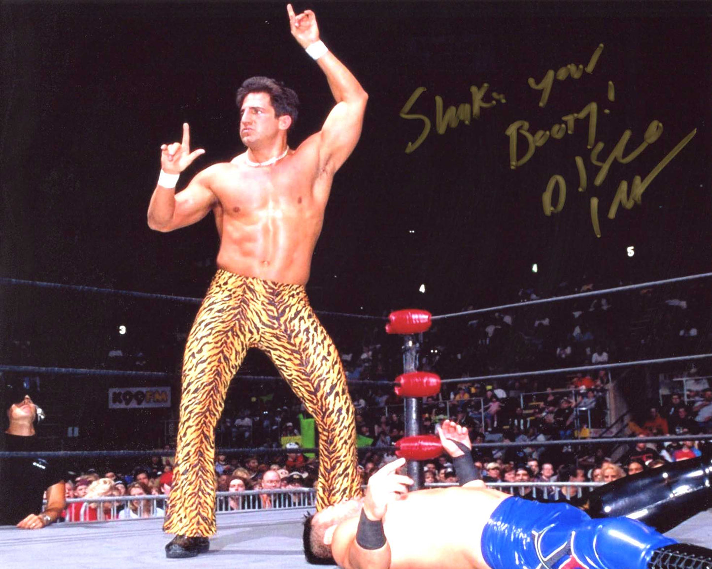 Disco Inferno "Shake Your Booty" Pose 1 Signed Photo COA