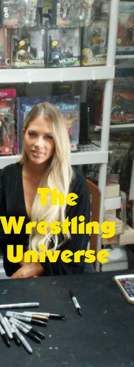Kelly Kelly Pose 4 Signed Photo COA