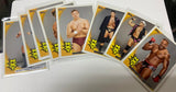 2010 WWE Topps Complete Set 110 Cards (Bryan Bella Ryback Sheamus RC)