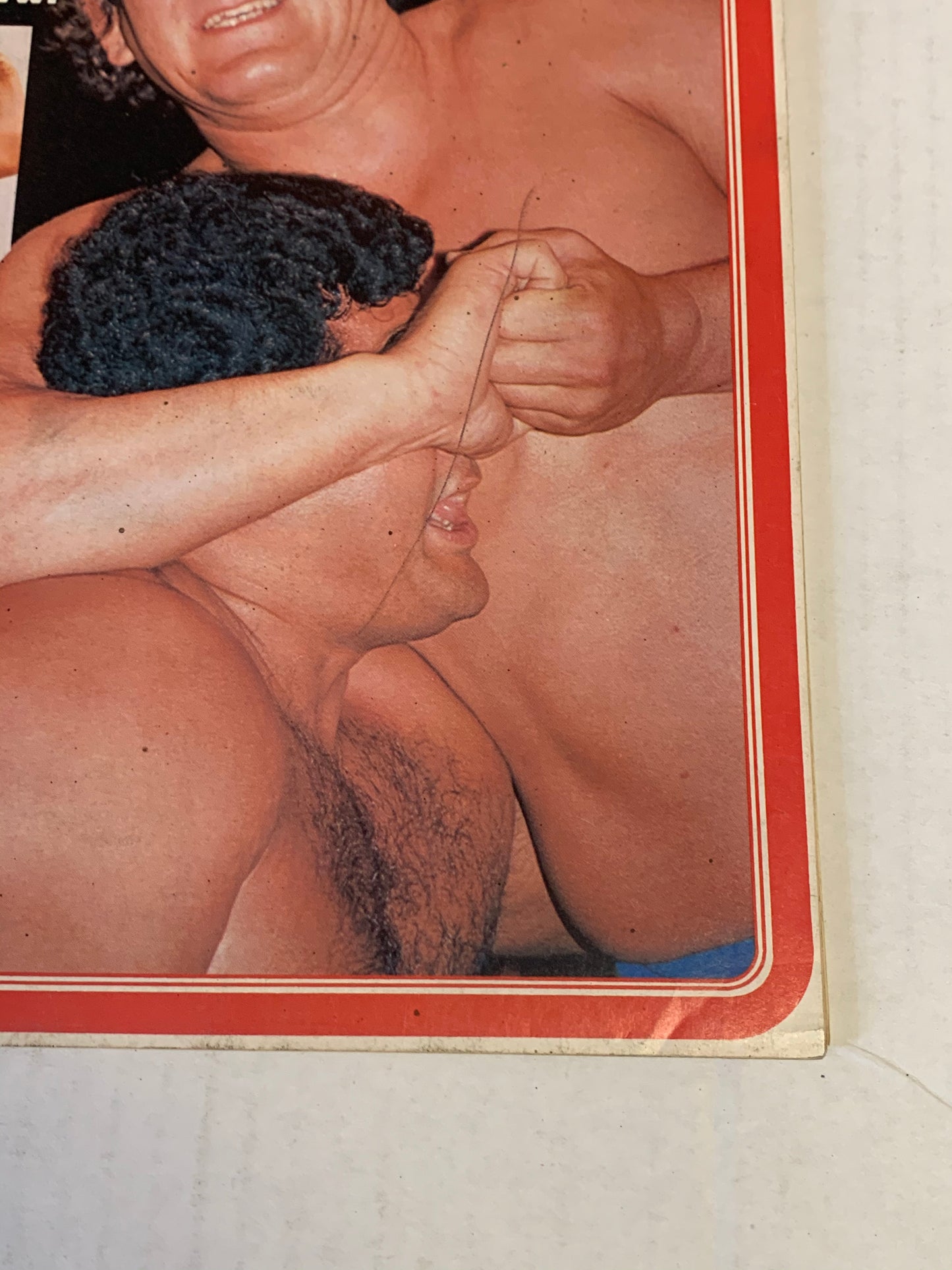 Pro Wrestling Illustrated Magazine November 1982 Hogan (Jimmy Snuka Poster)