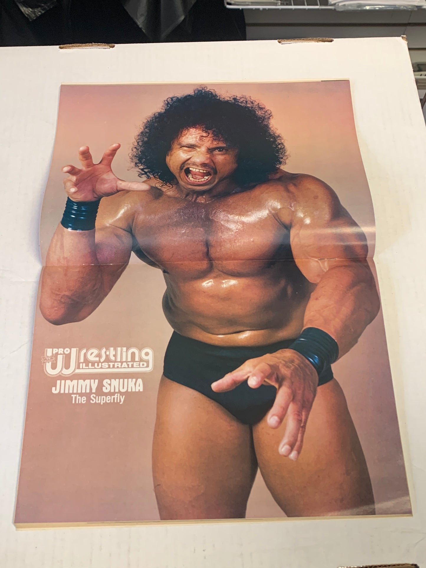 Pro Wrestling Illustrated Magazine November 1982 Hogan (Jimmy Snuka Poster)