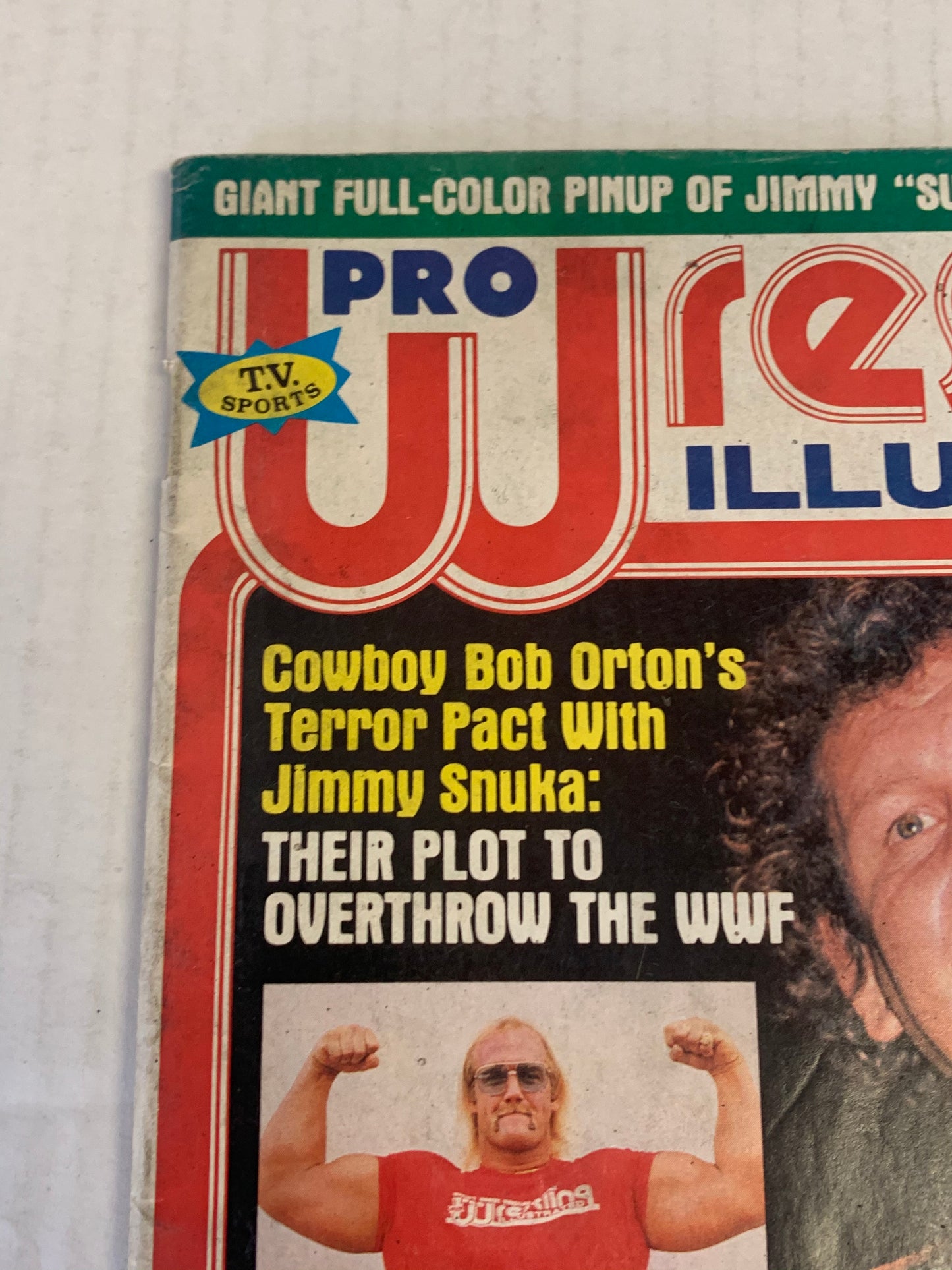 Pro Wrestling Illustrated Magazine November 1982 Hogan (Jimmy Snuka Poster)