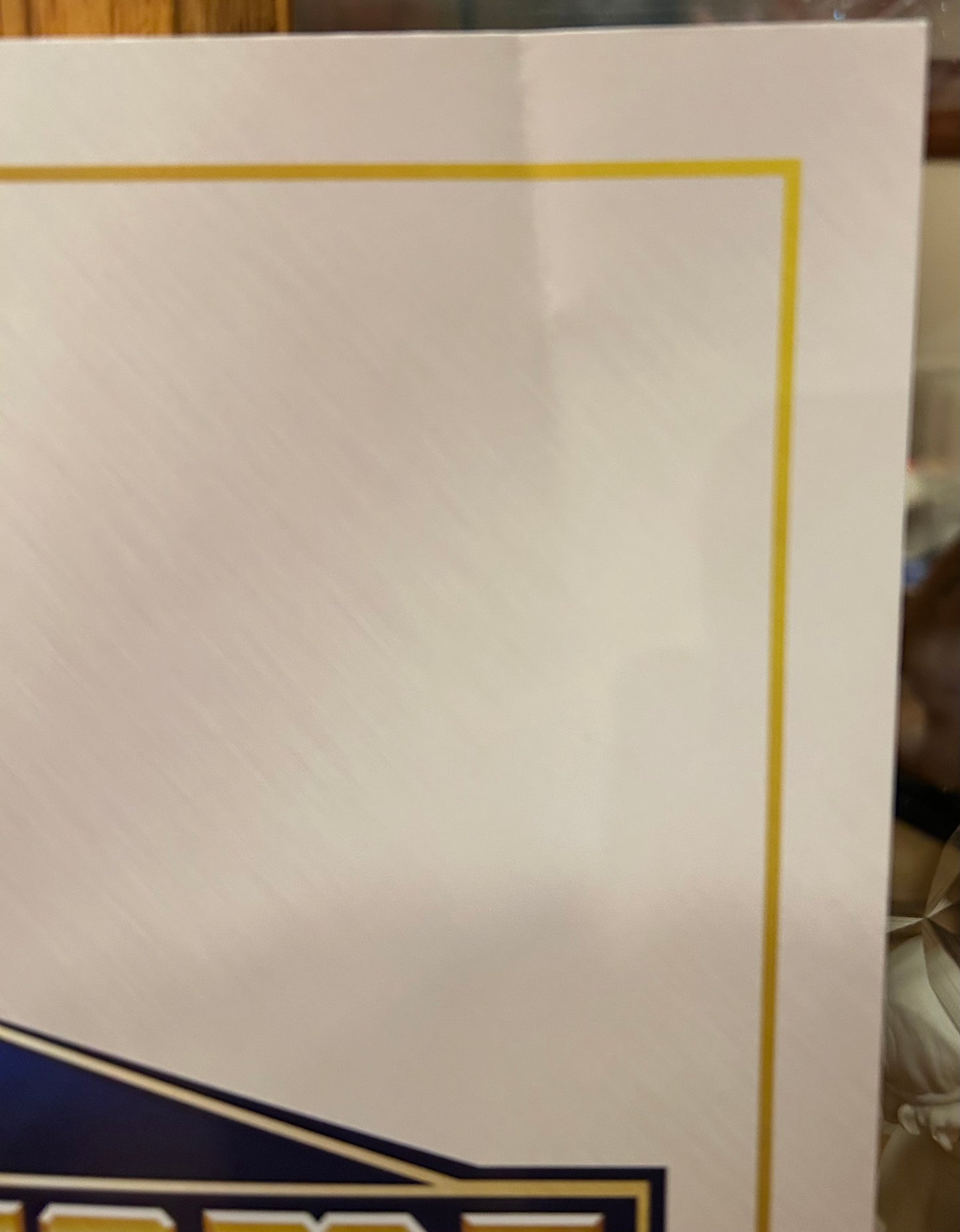 * WWE Wrestlemania/Hall of Fame 2013 Official Program