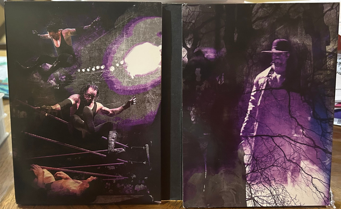 * WWE “The Undertaker’s Deadliest Matches” DVD (3-Disc set)