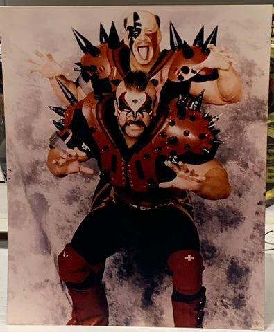 The Road Warriors (Hawk & Animal) WWE NWA 8x10 Color Photo