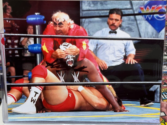 Kevin Sullivan Signed 8x10 Color Photo (Comes w/COA)