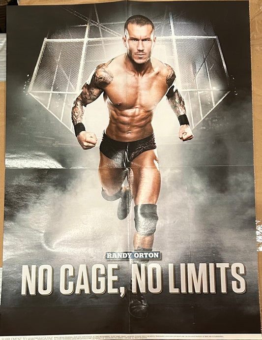 * Randy Orton WWE Poster