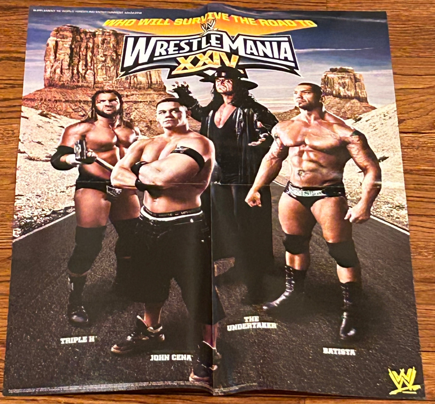 * Wrestlemania WWE Full Color Poster