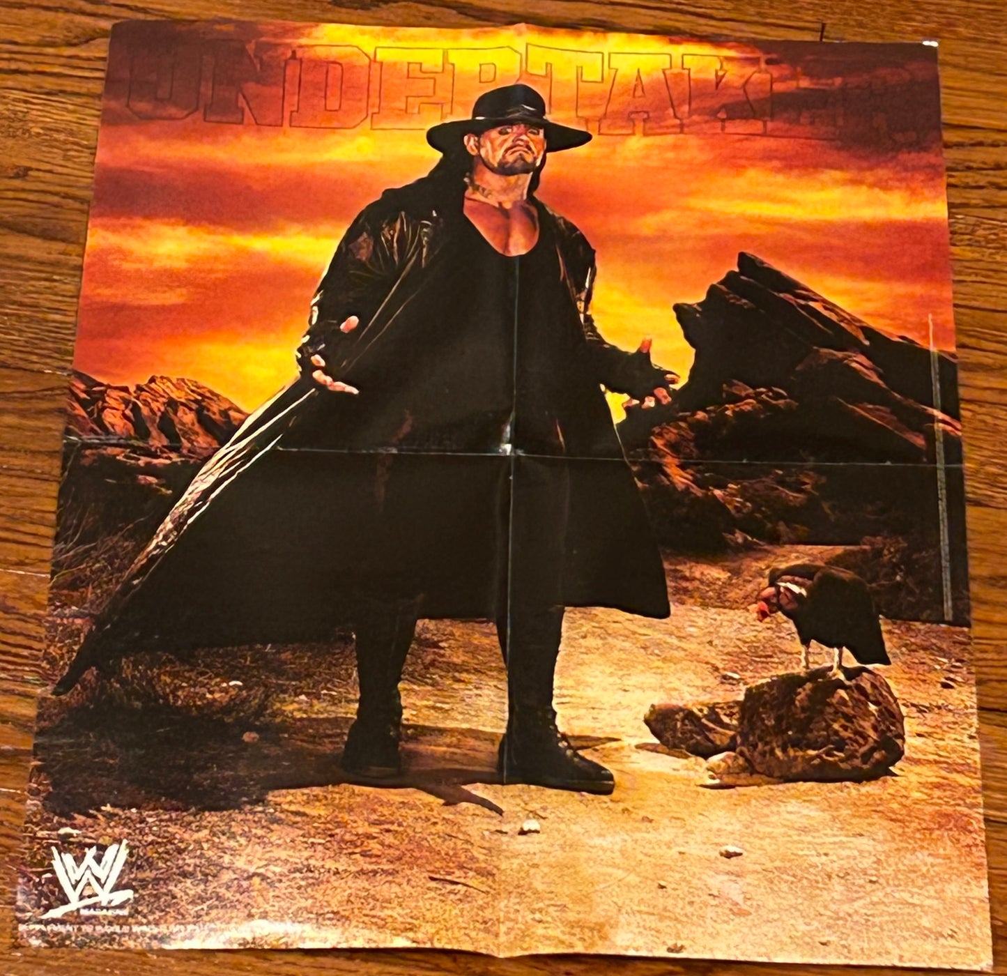 * The Undertaker WWE Full Color Poster
