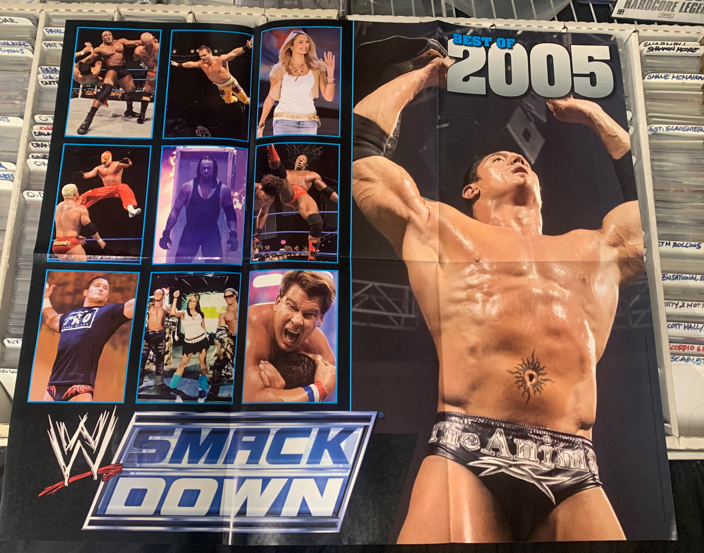 WWE Magazine “Best of 2005” (No Poster)